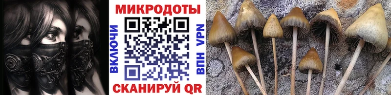 Псилоцибиновые грибы MAGIC MUSHROOMS  Оренбург 