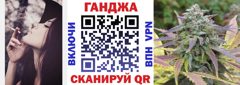 Бошки Шишки план Оренбург
